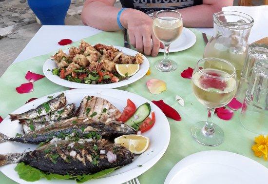 Ταβέρνα Γλάρος